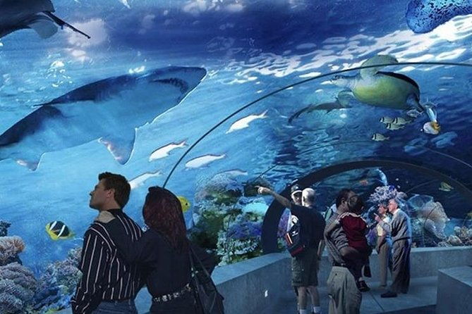 antalya-aquarium-tour-platinium-tour