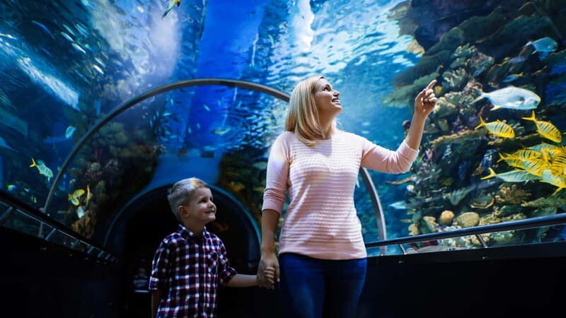 Antalya: Aquarium, Wax Museum, Snow World, Wild Park - The Wax Museum: A Closer Look at Celebrity and Historical Figures