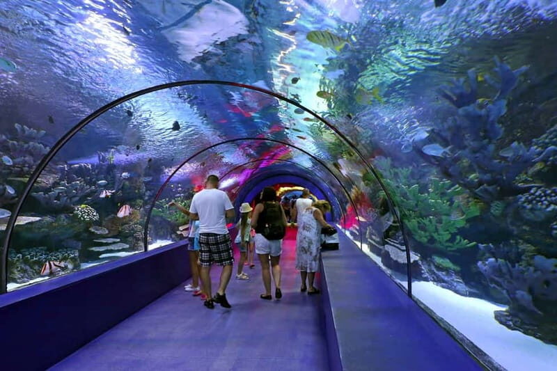Antalya: Aquarium, Wax Museum, Snow World, Wild Park - Transportation and Practical Details