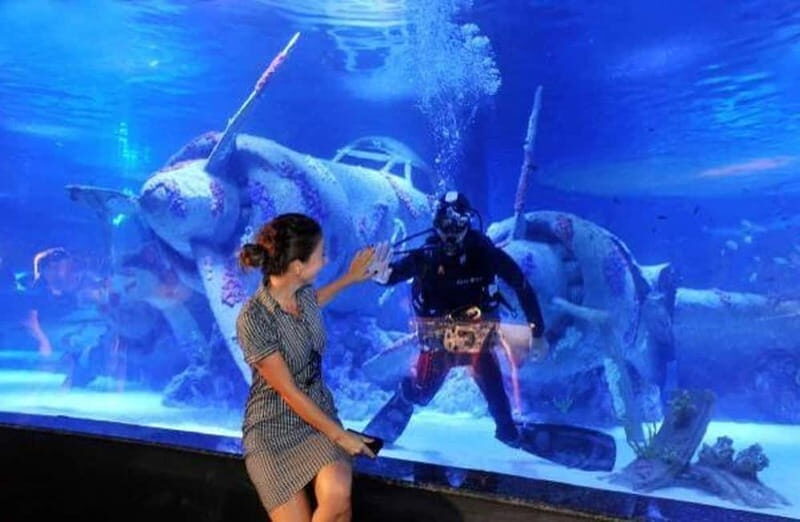 Antalya: Aquarium, Wax Museum, Snow World, Wild Park - Who Would Enjoy This Tour?