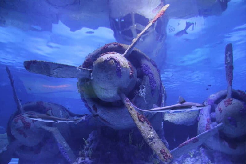 Antalya: Aquarium, Wax Museum, Snow World, Wild Park - The Sum Up: Is This Tour Worth It?