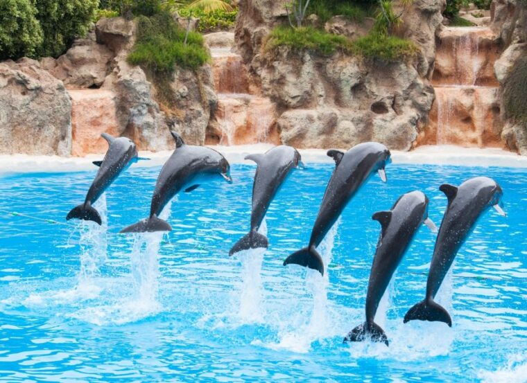 antalya-belek-the-land-of-legends-theme-park-with-transfer