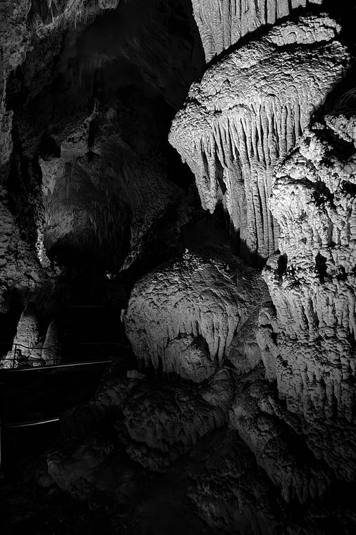antalya-enhanting-spaghetticave-natural-animal-figures