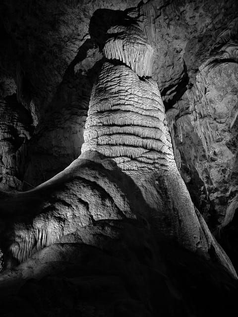 antalya-enhanting-spaghetticave-natural-animal-figures