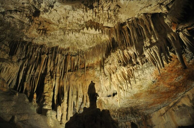 antalya-enhanting-spaghetticave-natural-animal-figures