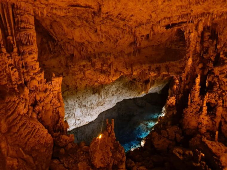 antalya-enhanting-spaghetticave-natural-animal-figures