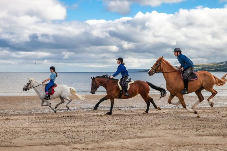 antalya-guided-atv-and-horse-riding-safari-in-lara