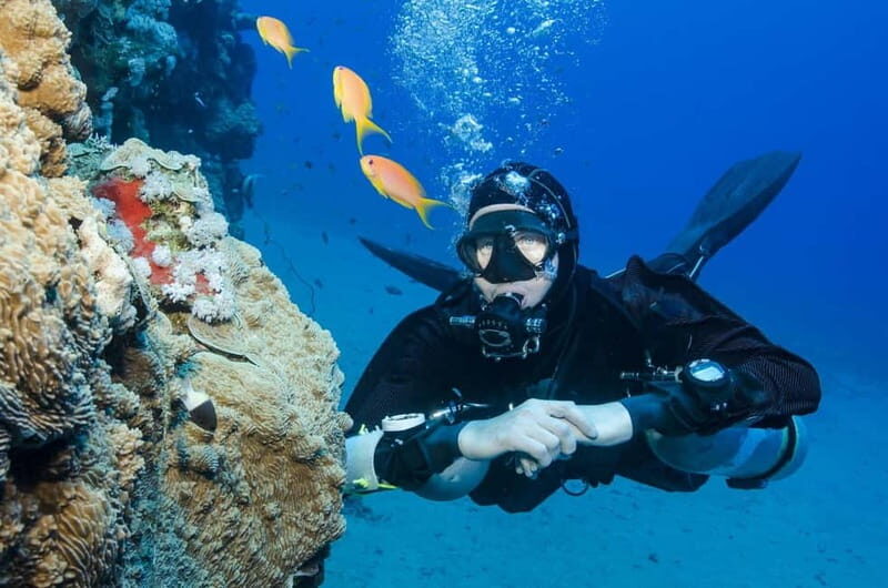 Antalya/Kemer: Scuba Diving Experience with 2 Dives & Lunch - What Sets This Experience Apart?