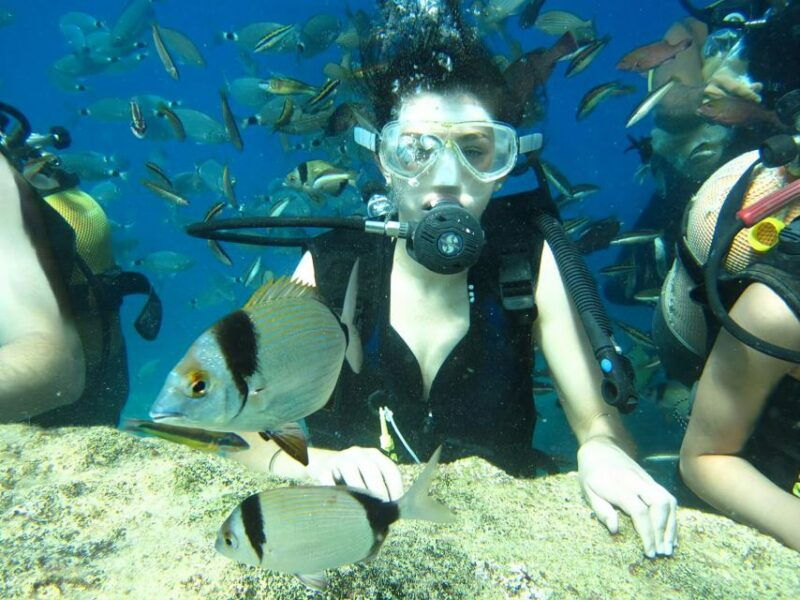 antalya-kemer-scuba-diving-experience-with-lunch-pick-up