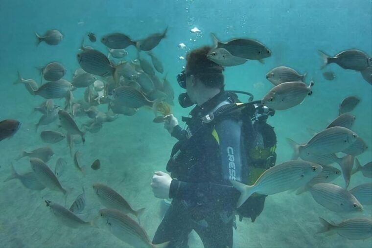 antalya-kemer-scuba-diving-experience-with-lunch-pick-up