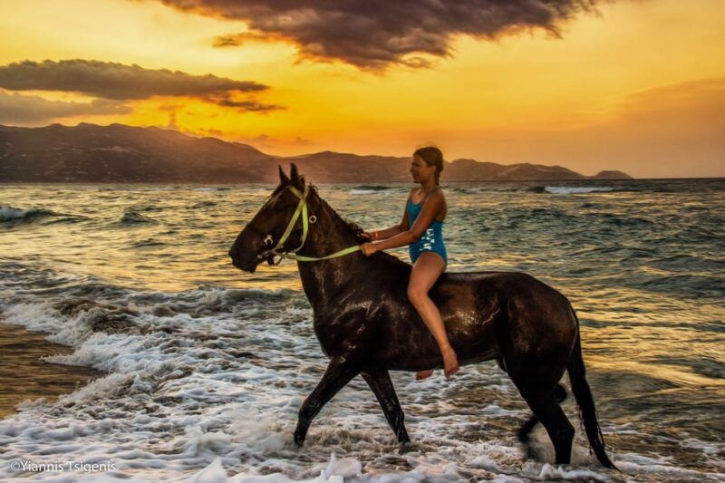 antalya-lara-beach-forrest-horse-riding-safari