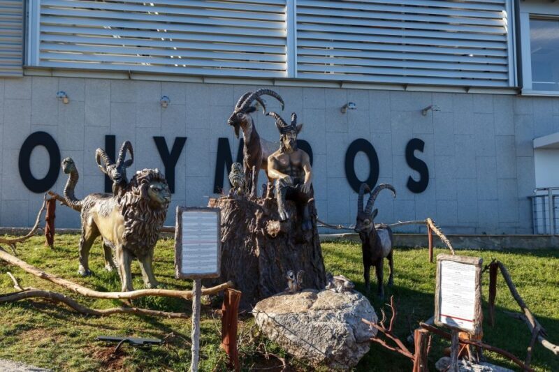 Antalya: Olympos Cable Car & Tahtali Mountains with Transfer - FAQs