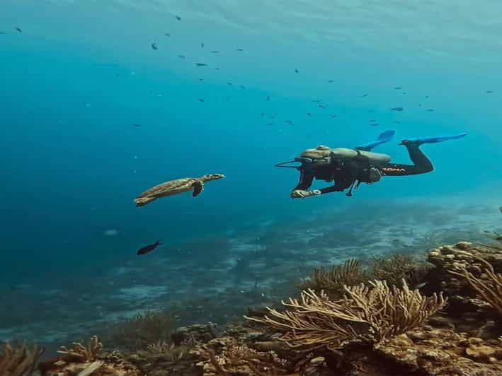 antalya-side-and-alanya-scuba-diving-with-lunch-2-dives