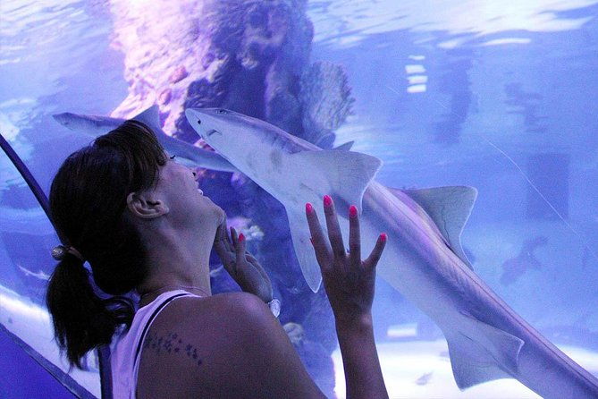 antalya-tunnel-aquarium-departure-from-side