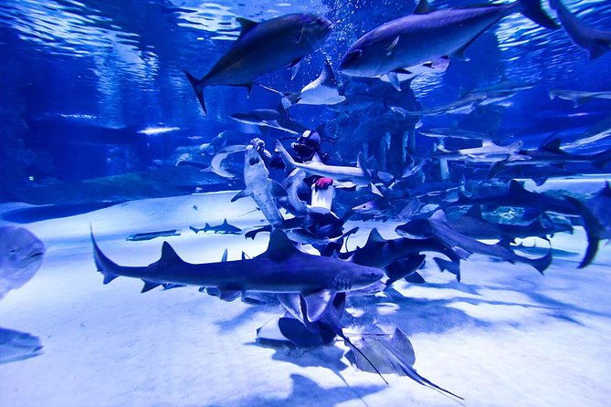 antalya-tunnel-aquarium-departure-from-side