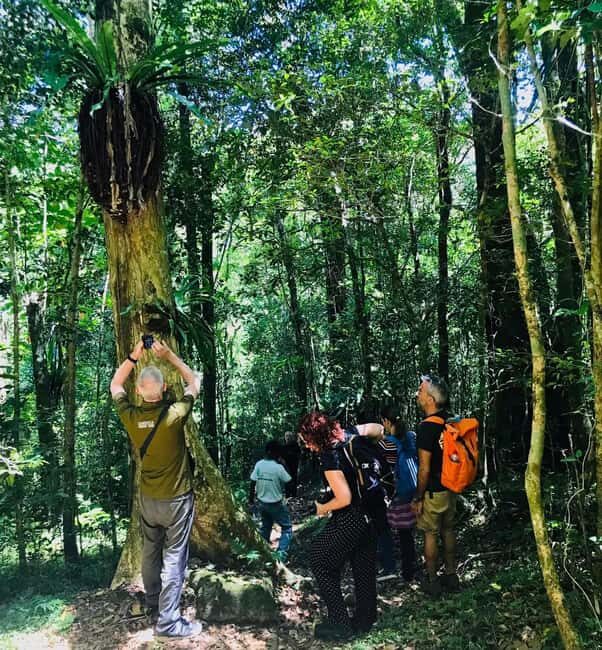 Antananarivo: 2-Days tour to Andasibe National Park - The Sum Up