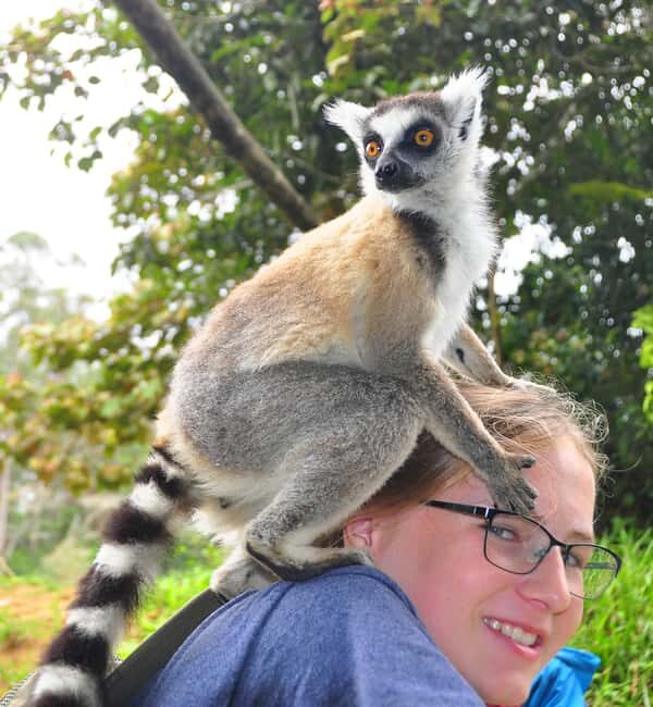 Antananarivo: 2-Days tour to Andasibe National Park - FAQ