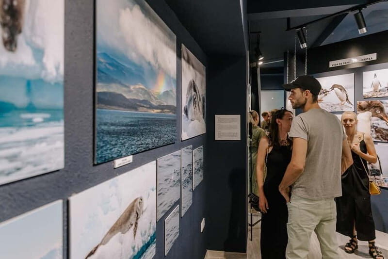 Antarctica Interactive Experience - Authentic Feedback from Visitors