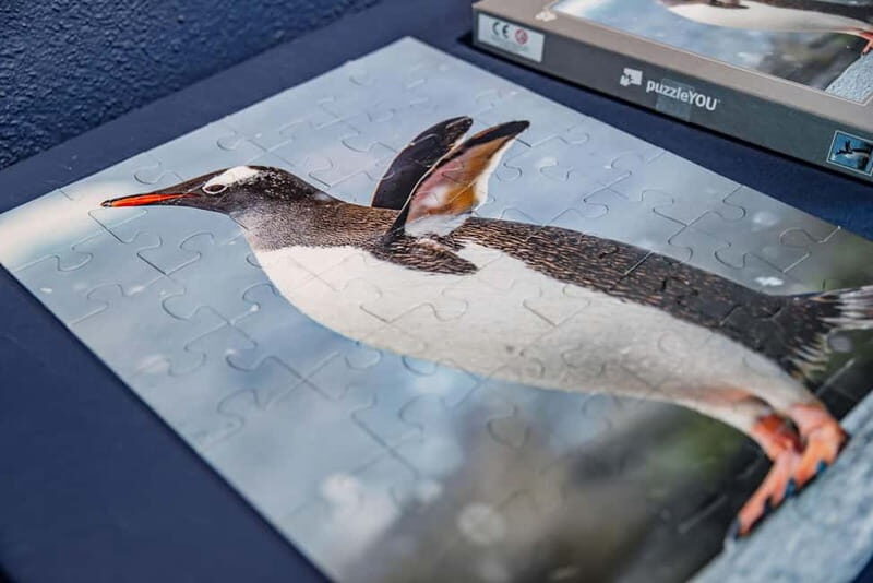 Antarctica Interactive Experience - FAQ