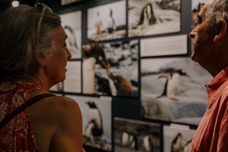 antarctica-interactive-experience