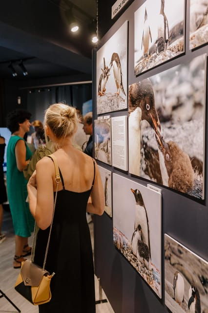 antarctica-interactive-experience