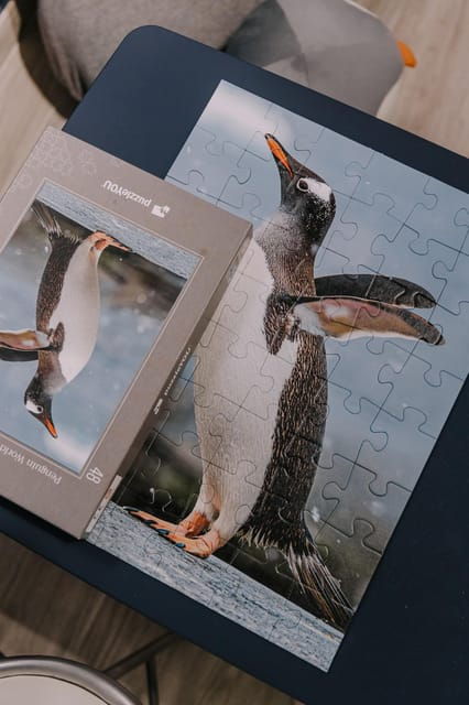 antarctica-interactive-experience