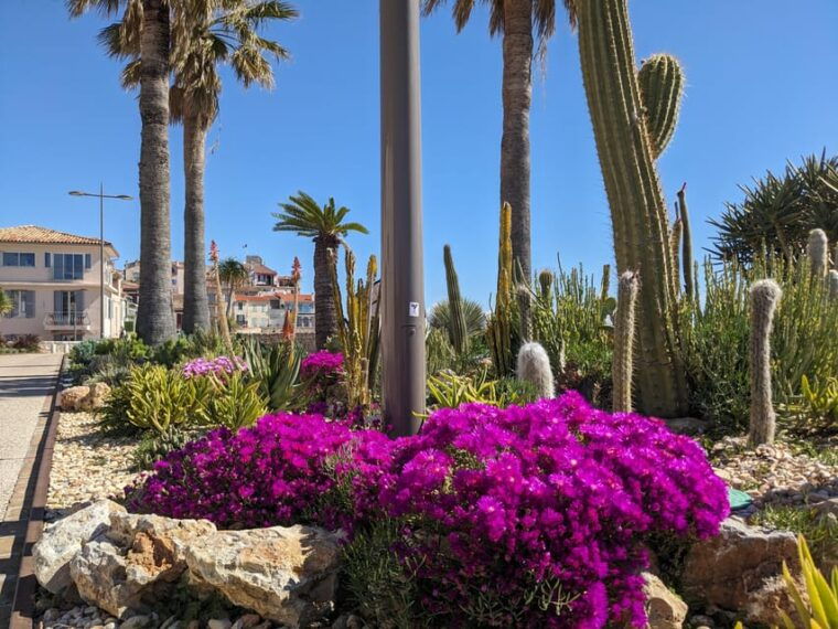 antibes-2-hour-walking-tour-in-the-old-town