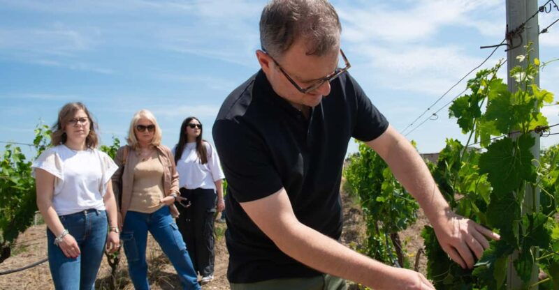 antica-enotria-cellar-tasting-of-wines-and-preserves