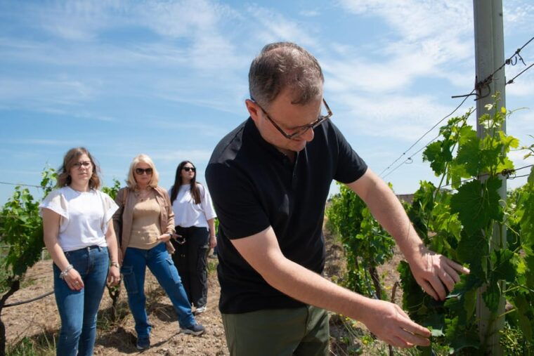 antica-enotria-cellar-tasting-of-wines-and-preserves