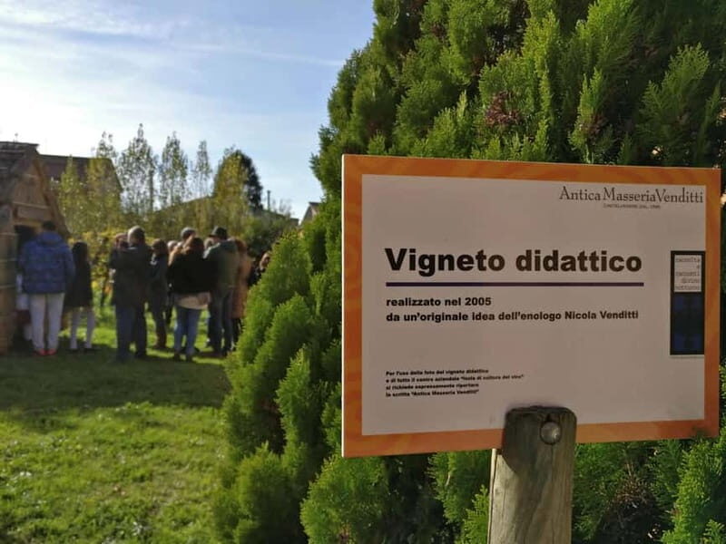 Antica Masseria Venditti: guided visit to the winery with wine tasting - Practical Details and Tips