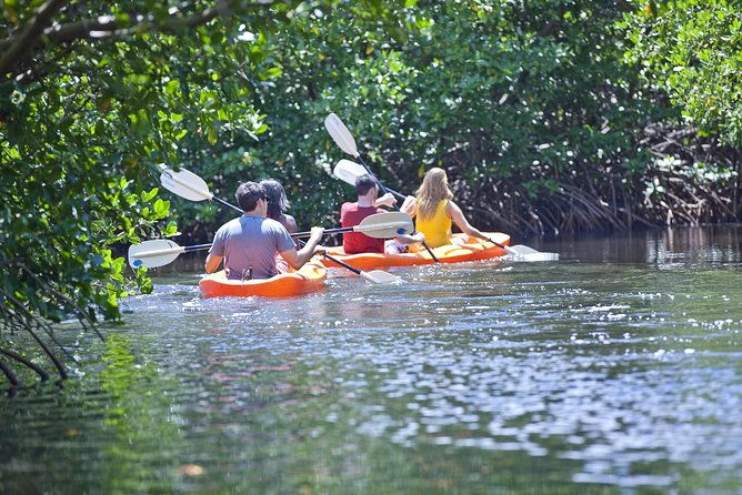 antigua-zipline-kayaking-combo-from-st-johns