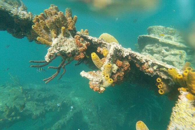 antilla-shipwreck-seabob-tour