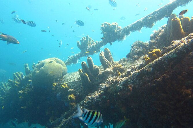 antilla-shipwreck-seabob-tour