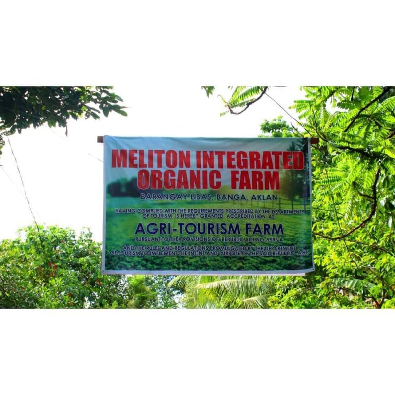 Antique Banga & Balete Tour - Key Points