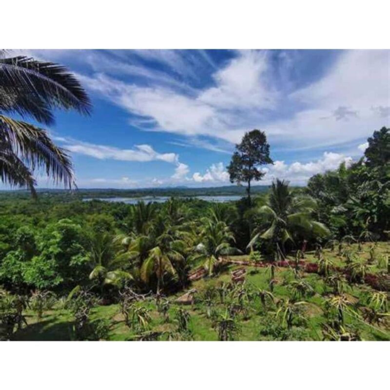 Antique Banga & Balete Tour - Who Will Love This Tour?