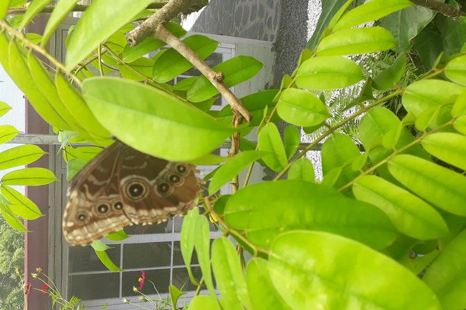 anton-valley-highlights-tour-from-panama-city