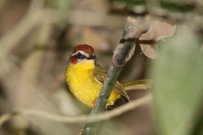 anton-valley-highlights-tour-from-panama-city