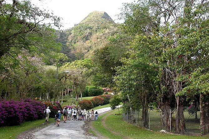 anton-valley-highlights-tour-from-panama-city