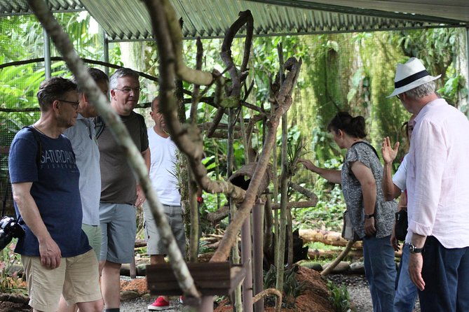 ants-tour-hormigas-town