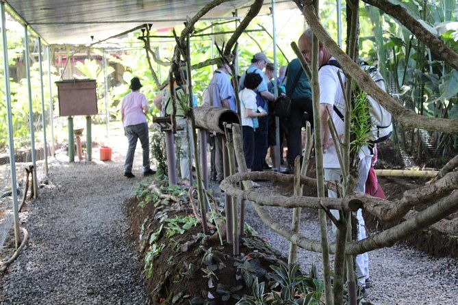 ants-tour-hormigas-town