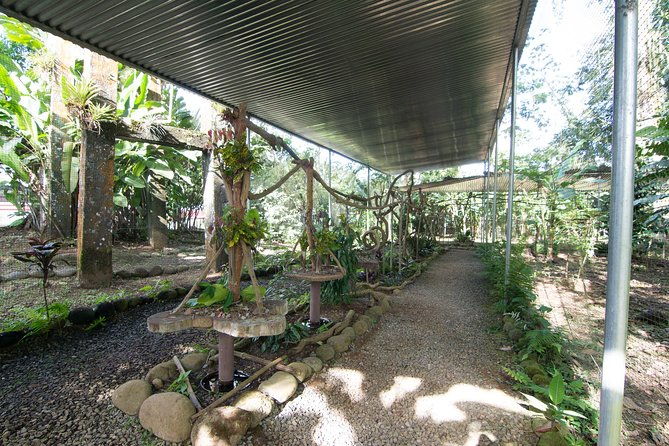 ants-tour-hormigas-town