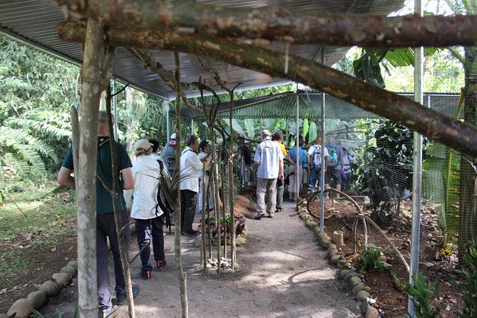 ants-tour-hormigas-town