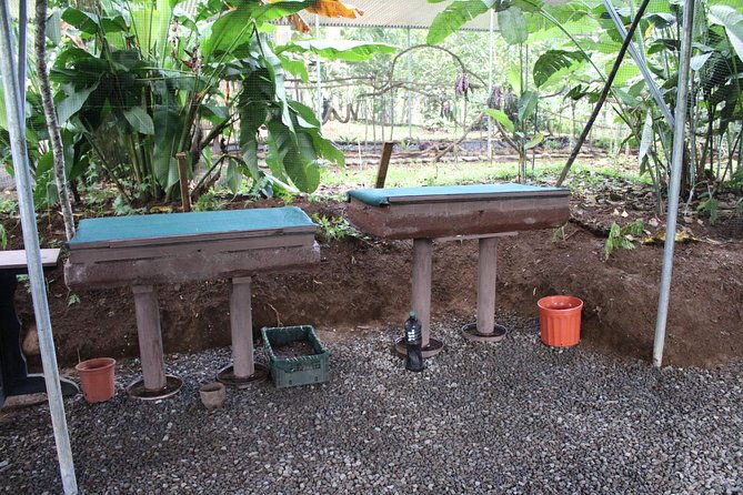 ants-tour-hormigas-town