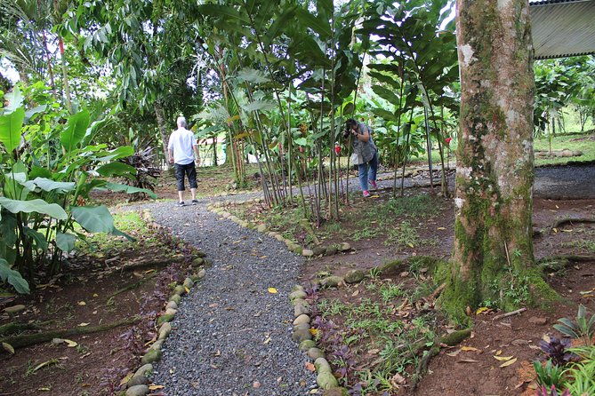 ants-tour-hormigas-town