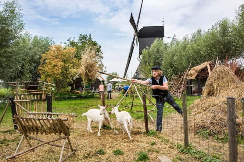 Antwerp: Full-day Holland Guided Keukenhof & Kinderdijk Tour - Who Would Love This Tour?