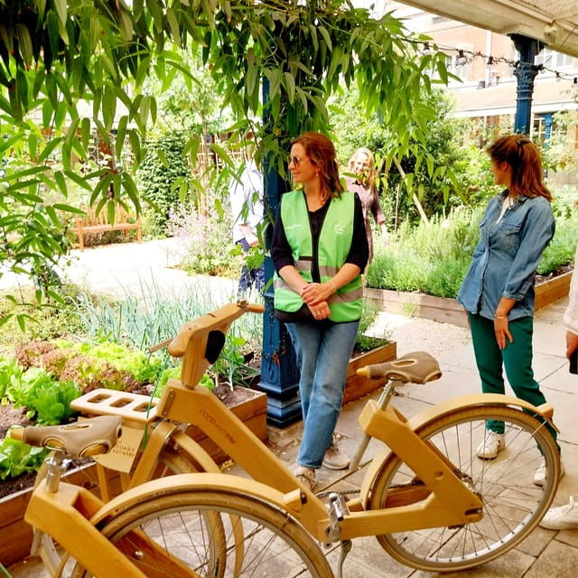 antwerp-the-big-5-city-highlights-by-wooden-bike