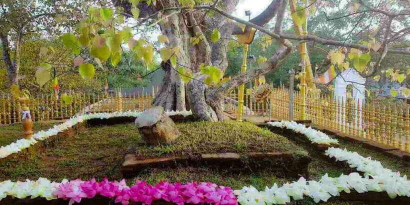 anuradhapura-aukana-private-day-tour-from-habarana