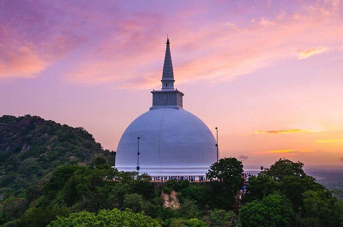 Anuradhapura Guided Day Tour of Ancient Ruins from Colombo - Authentic Insights and What Travelers Say