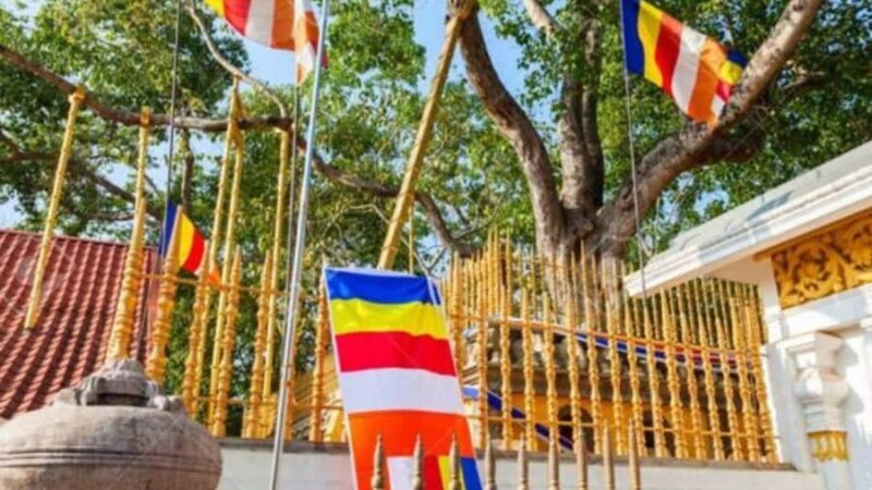 Anuradhapura: Tuk Tuk Tour with Temples & Hidden Stories - Who Will Love This Tour?