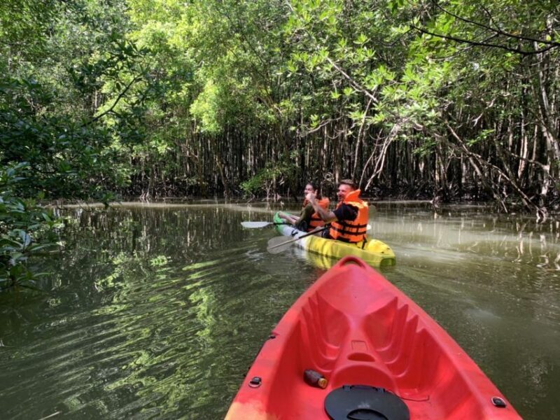 Ao Nang: Kayak Tour in Krabi Mangrove Forest with Lunch - Key Points